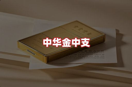 中华金中支